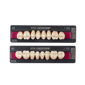 VITAPAN® LINGOFORM Posterior