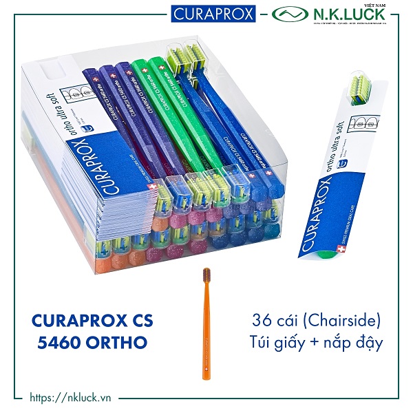 Dùng bàn chải lông mềm để chà bề mặt hầm vệ sinh