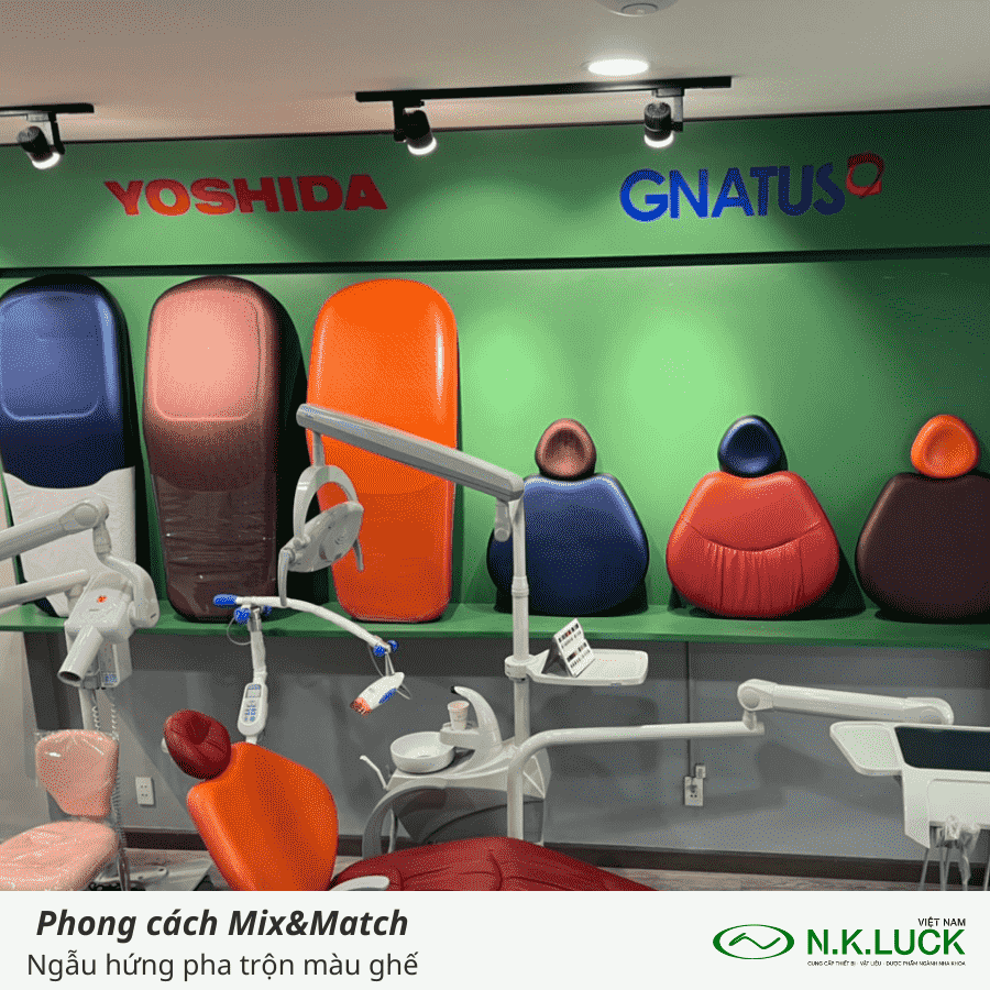 mau-sac-ghe-nha-khoa-gnatus