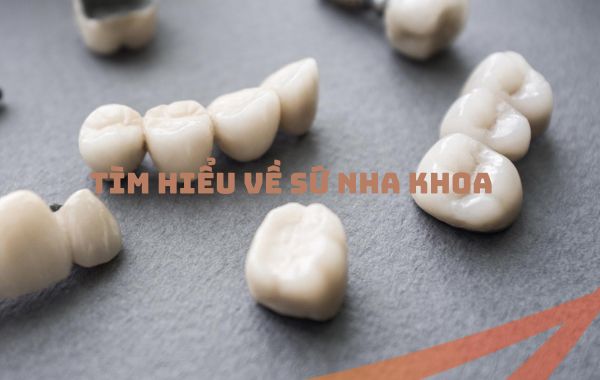 Tìm hiểu về nguyên vật liệu sứ nha khoa